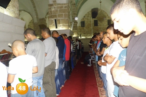 kaber trawe7 718 (18).JPG